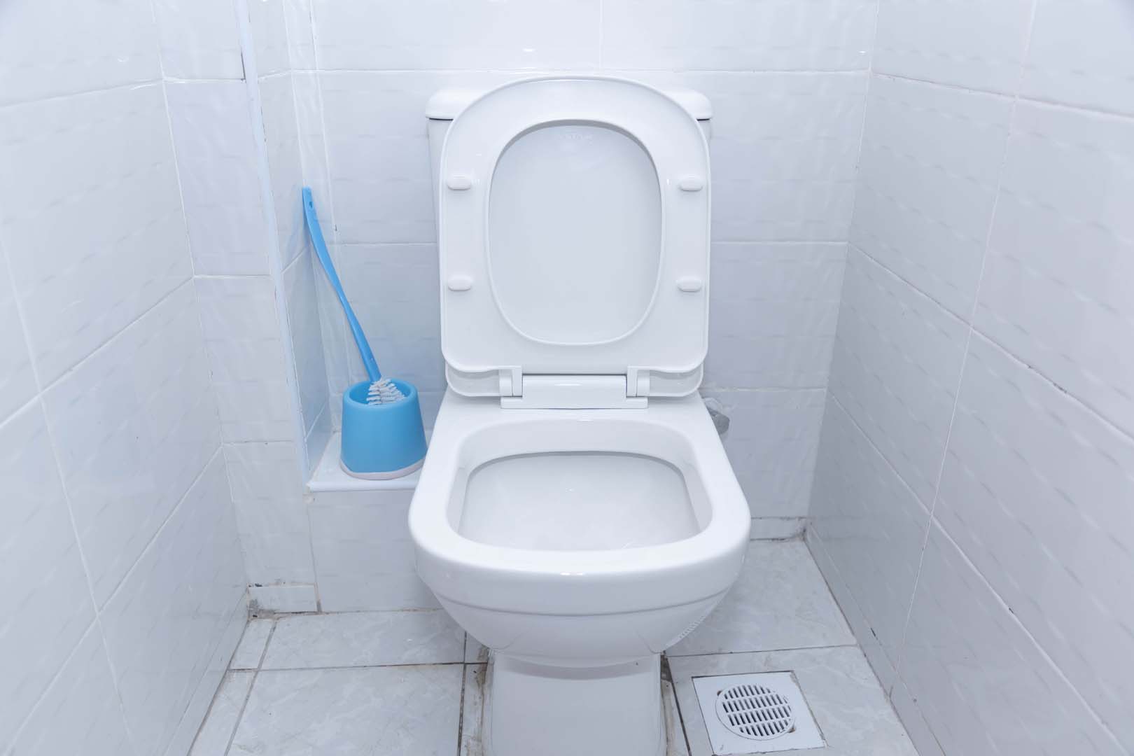 Common toilet view 1