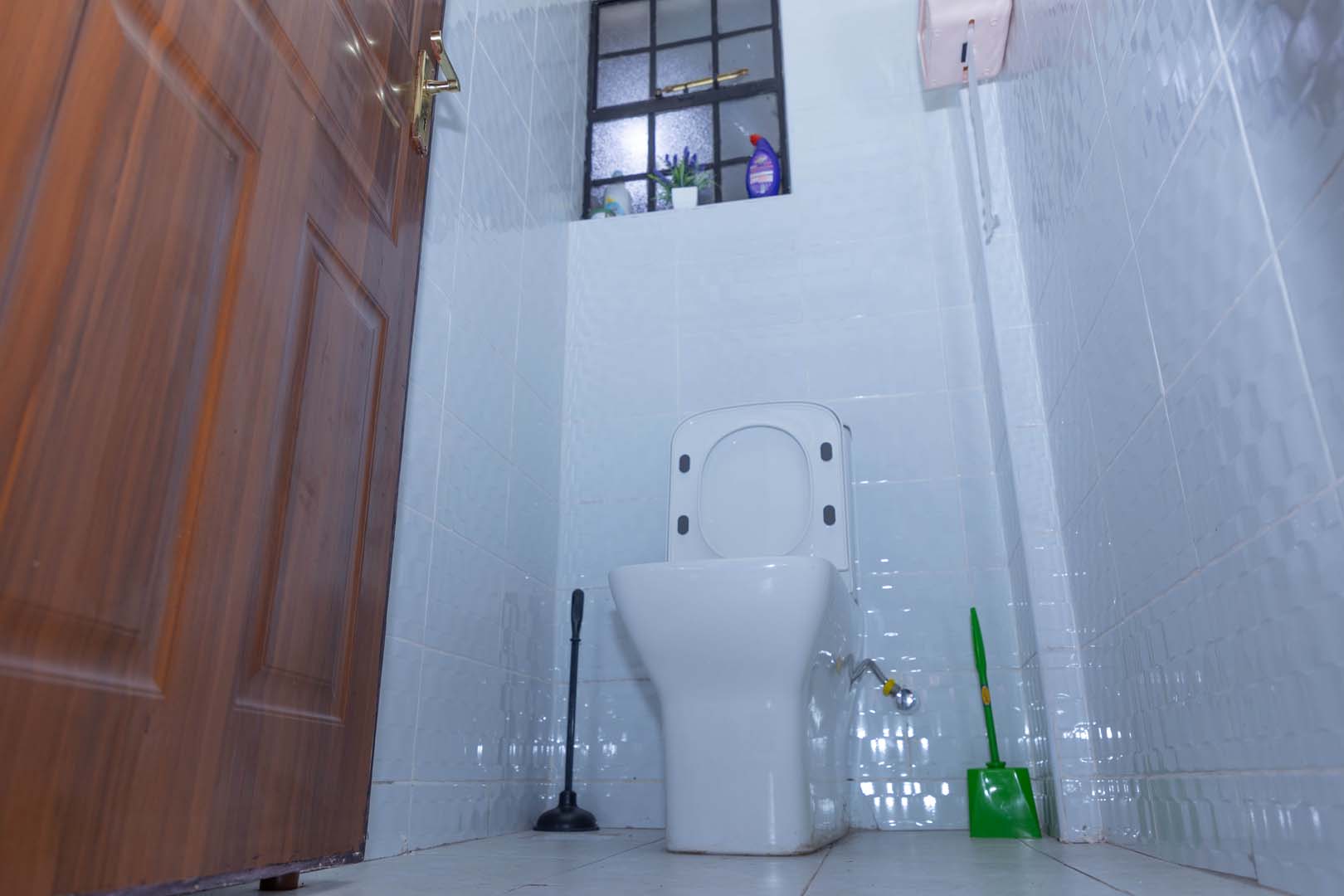 Common toilet view 2