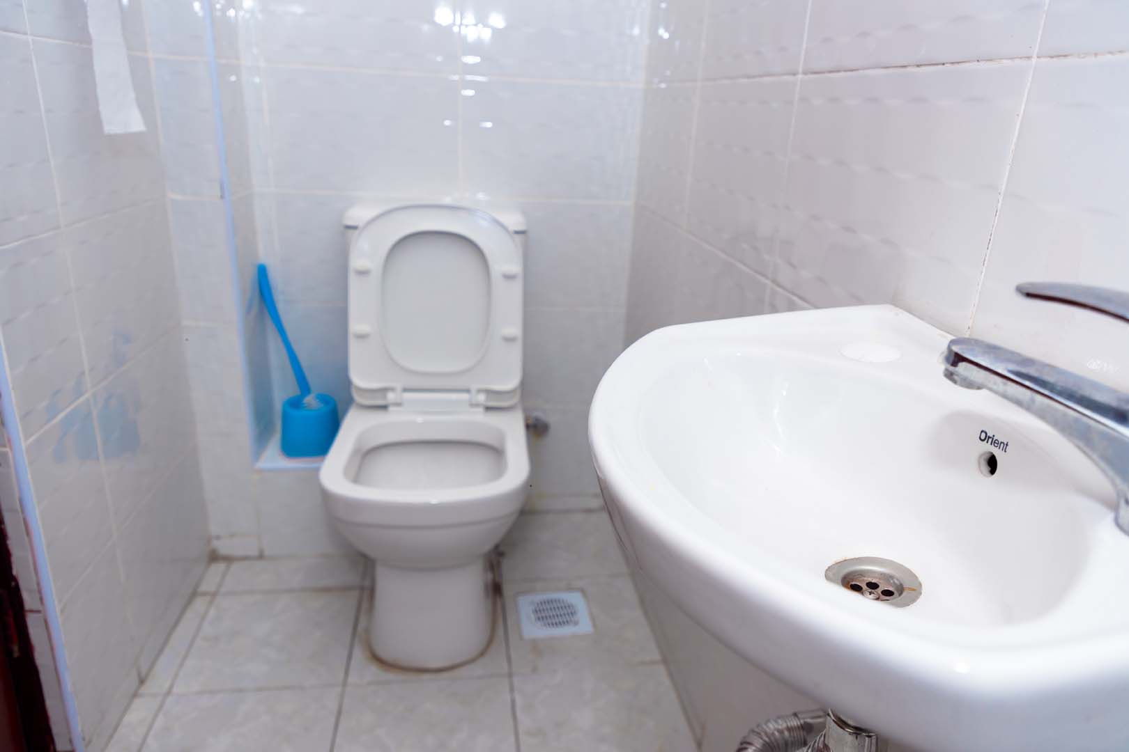 Common toilet view 3